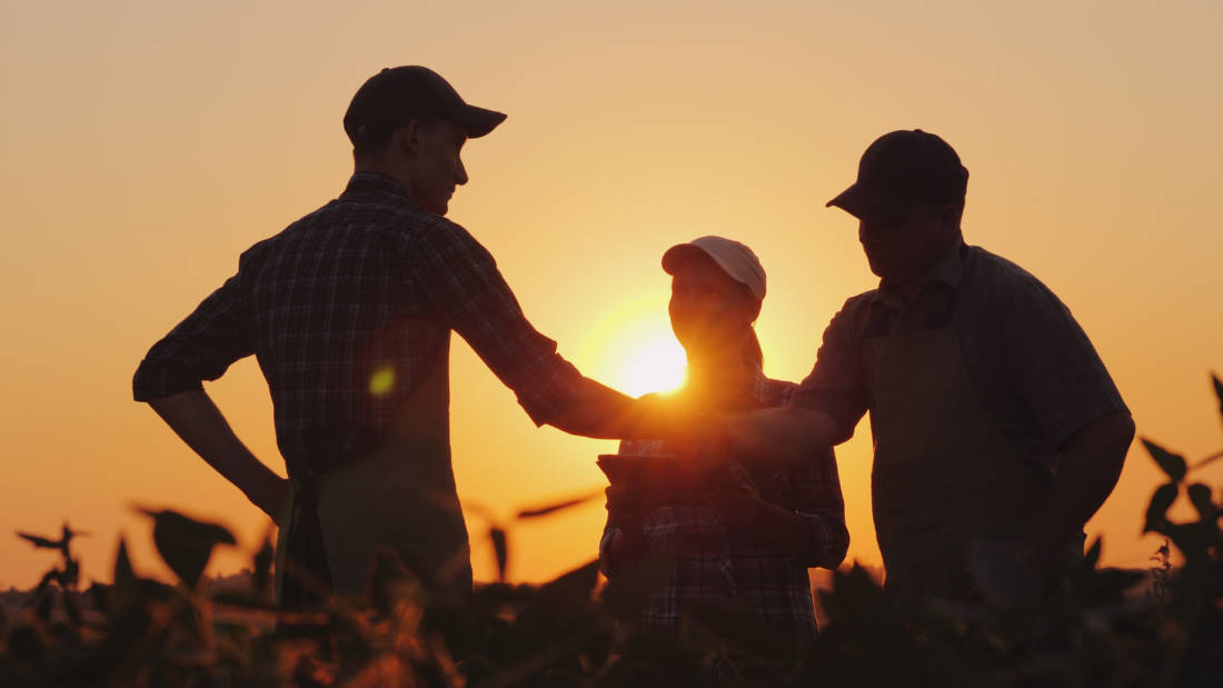 Como manter equilíbrio quando trabalhamos com parentes?